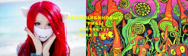 мескалин Богородицк