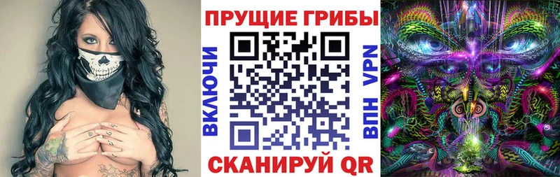 Купить где  Петров Вал  Псилоцибиновые грибы MAGIC MUSHROOMS 