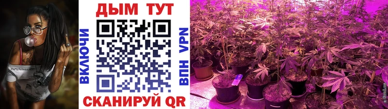 МАРИХУАНА MAZAR  Купить  Петров Вал 